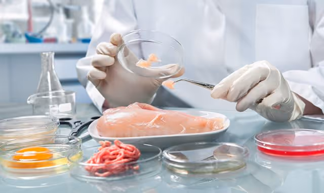 Bactérias patogênicas em alimentos