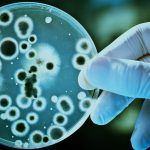 Como evitar doenças causadas por fungos em ambientes climatizados