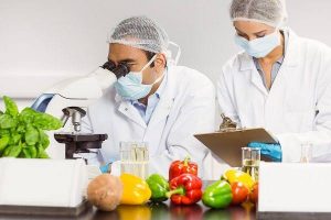 Microbiologia dos Alimentos na Indústria Alimentícia